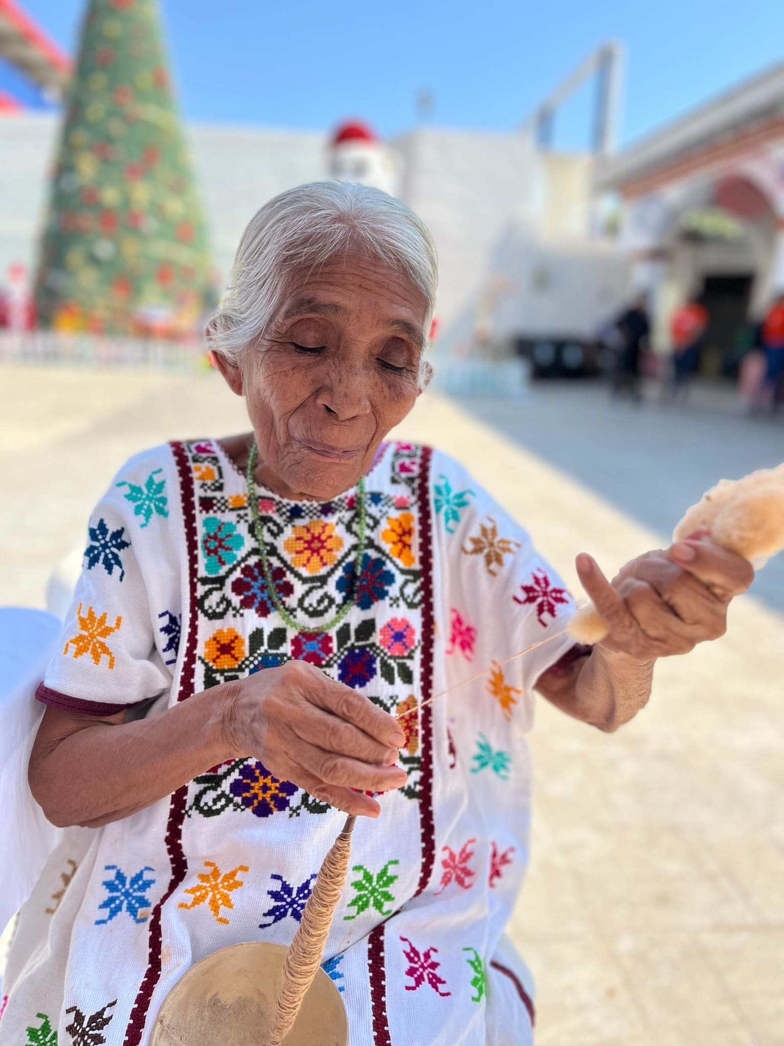 Imagen de Galería del Municipio 5