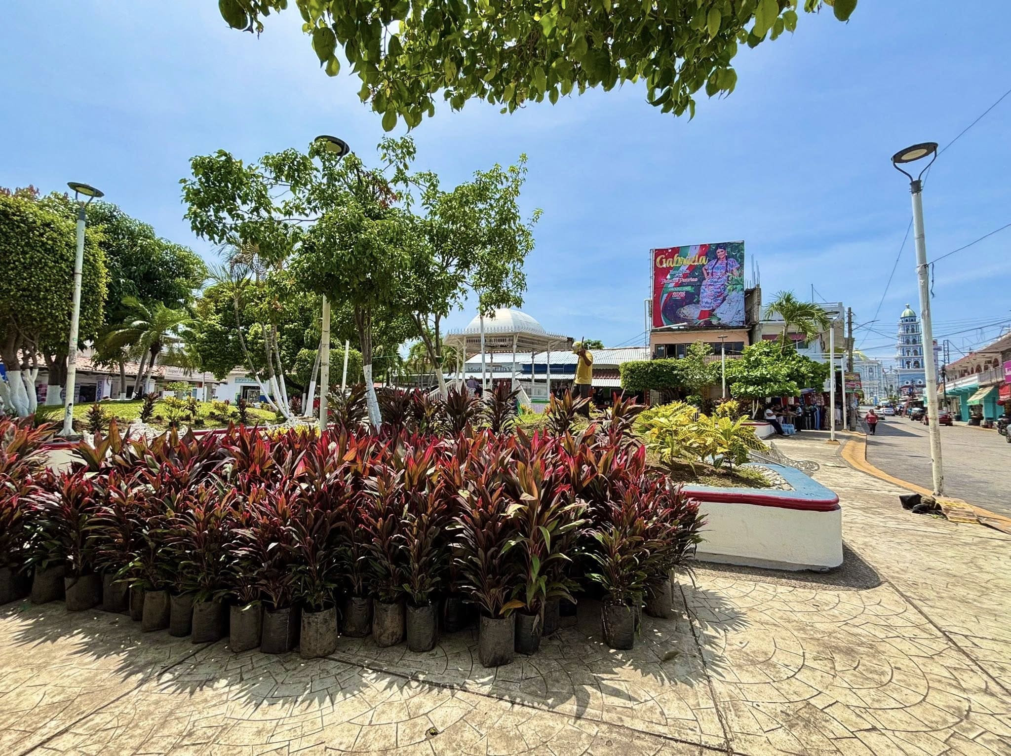 Imagen de Galería del Municipio 3
