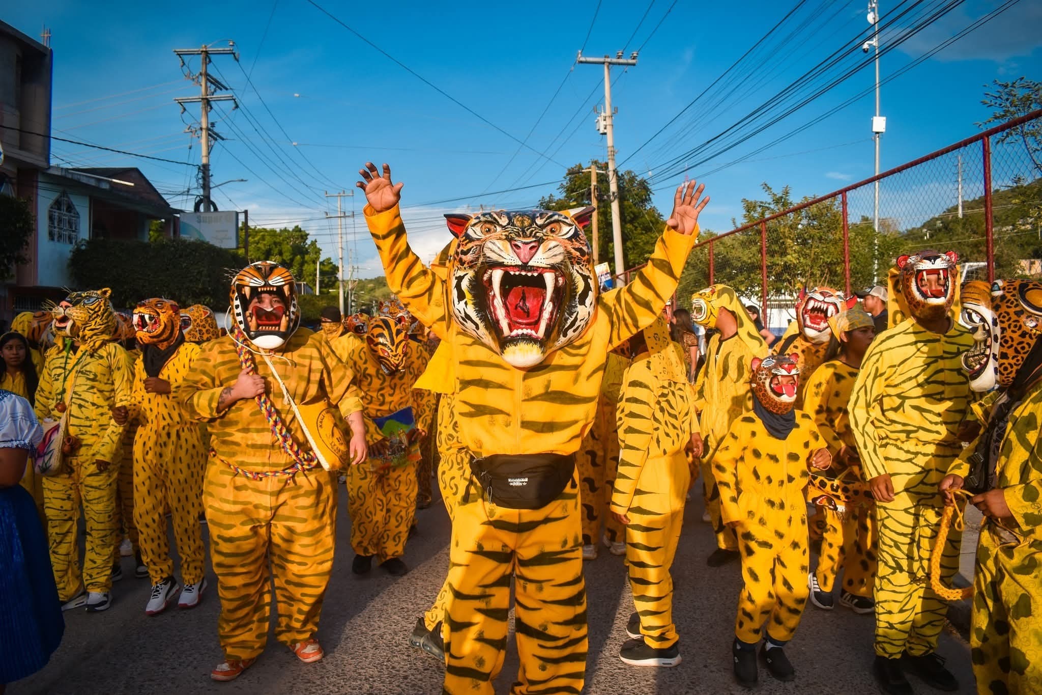 Imagen de Galería del Municipio 8